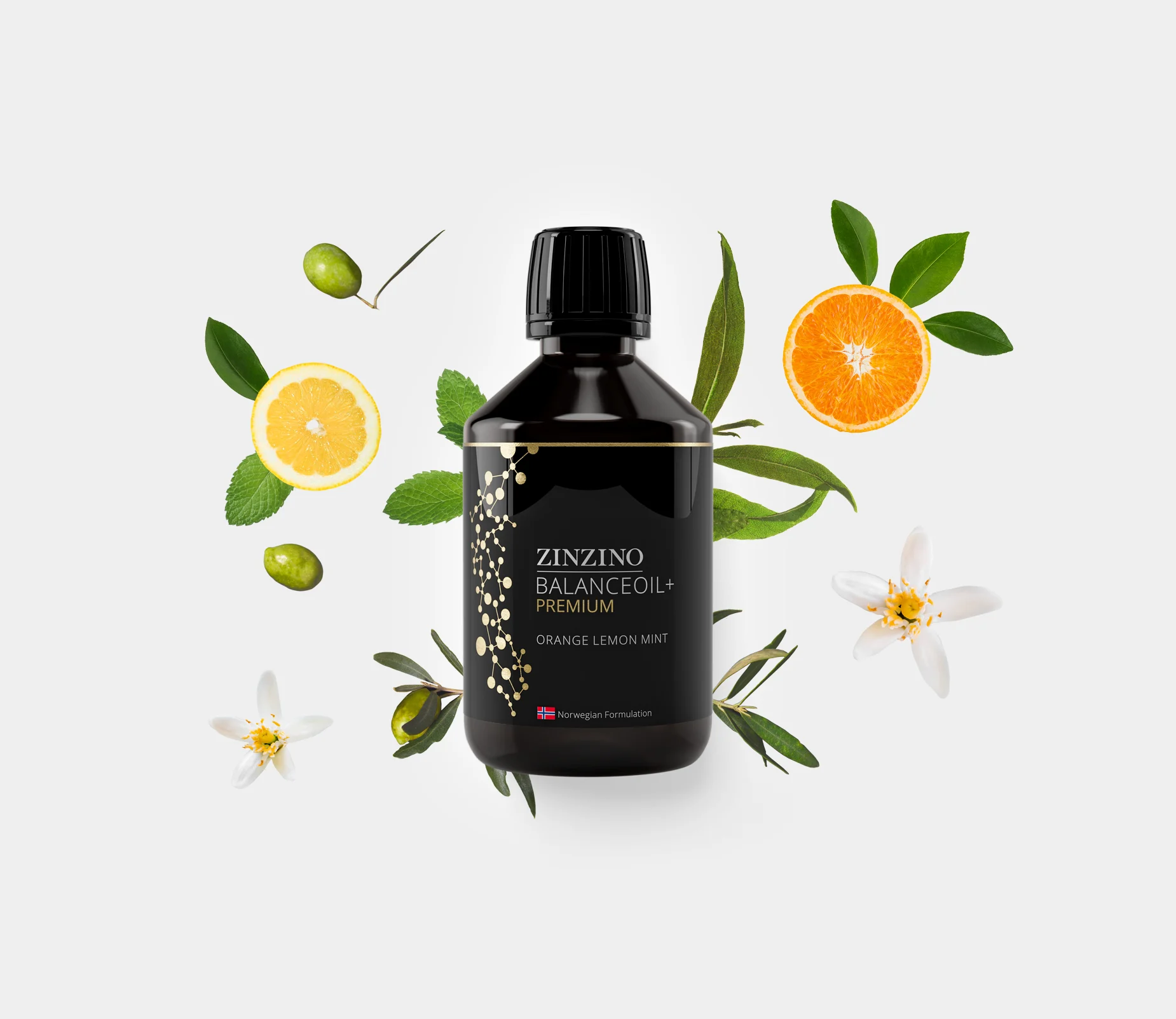 BalanceOil+ Premium
Наш бестселлер, в котором в 4 раза больше биоактивных антиоксидантов. Исключительная, полностью натуральная смесь чистого рыбьего жира, богатого EPA + DHA, и нашего эксклюзивного, чрезвычайно эффективного оливкового масла первого отжима (RE.E.V.O.O) обеспечивает беспрецедентное усвоение омега-3 и защиту жирных кислот.